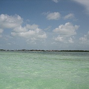 Picture 016